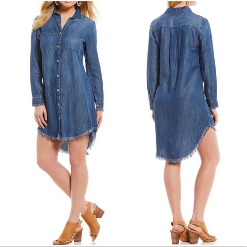 Denim Fringe Dress Petite